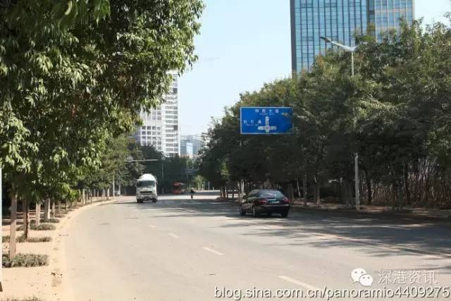 探秘阳江市隐藏版特色小店，小巷中的独特风味最新新闻报道