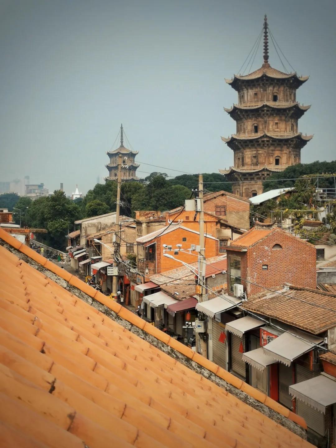 爱奇艺会员账号免费探秘，巷弄深处的影视宝藏等你来发掘